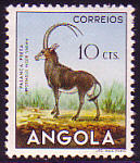 Angola